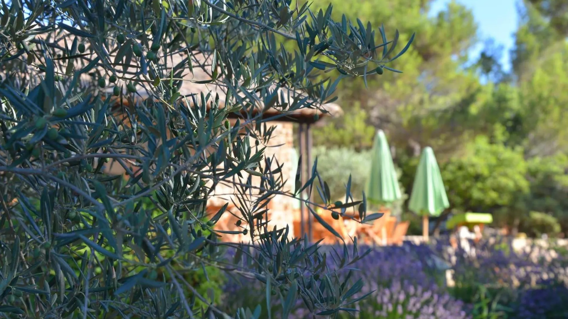 **** Hotel Le Jas De Joucas Hotel-Restaurant France